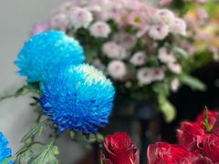 -何兮花店·气球派对鲜花店(马桥银春路万科城店)