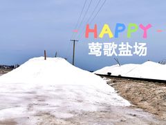 -莺歌海盐场