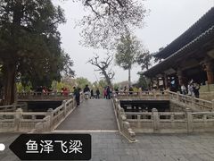-晋祠公园