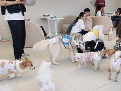 -怪兽屋·羊驼·猫咖·狗咖(俊华广场店)