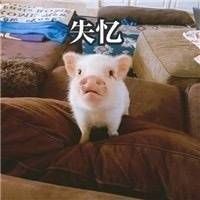 -满记甜品(金帝银泰城店)
