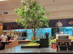-锦粤宫·精致粤菜(深圳北站店)