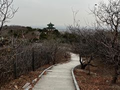 -北京西山国家森林公园