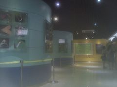 -上海昆虫博物馆