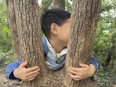 -上海佘山国家森林公园天马山园