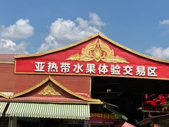 -曼阁市场水果批发市场
