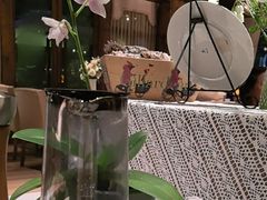 -一棵树·意大利西餐厅One Tree(新城店)