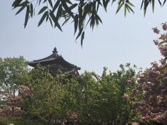 -西安青龙寺遗址景区