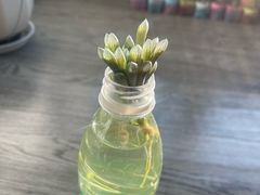 -大家乐(深圳华强北店)