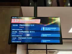 -谢列梅捷沃国际机场