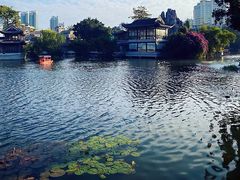 -荔湾湖公园