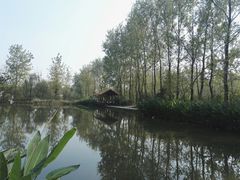 -溱湖国家湿地公园