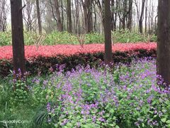 -苏州河梦清园环保主题公园