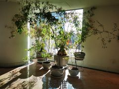 -亮马河饭店翠雅咖啡厅