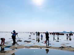 -北海金海湾红树林生态旅游区