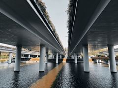 -深圳湾公园(南山区)