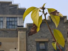 -南京晨光1865创意产业园