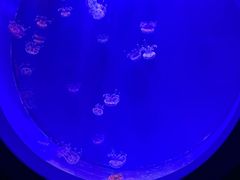 -多彩贵州城极地海洋世界