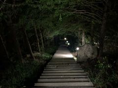 -东白山