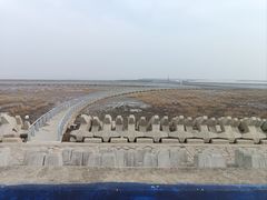 -南汇嘴观海公园