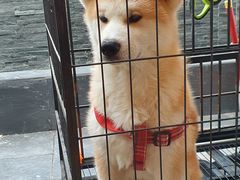 -N多寿司(金水区印象汇店)