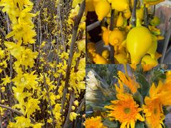 -循礼门鲜花花市(武汉循礼门店)