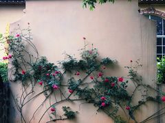 -花博汇(知音花月夜)