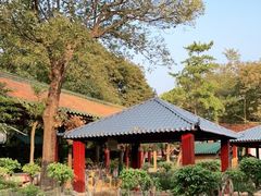 -佛山市三水温泉度假村