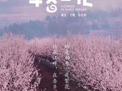 -杏花村文化旅游区