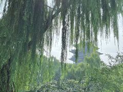-济南大明湖景区