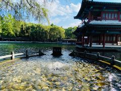 -百脉泉景区