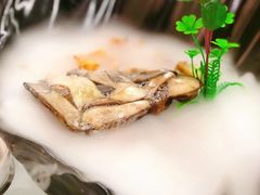 -名善山珍·野生菌汤锅(文殊院店)