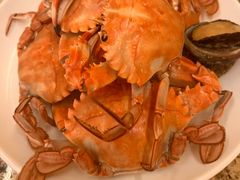 -禾斗海鲜自助(市南银座店)