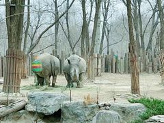 -北京野生动物园