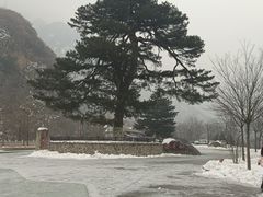 -秦岭终南山世界地质公园翠华山景区