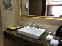 -圣爵菲斯大酒店(长沙世界之窗店)