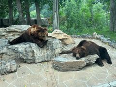 -北京野生动物园