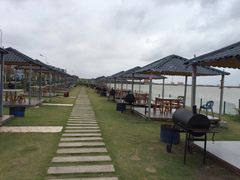 -南汇嘴观海公园