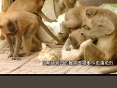 -昆明动物园