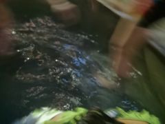 -江南天池高山汤泉城