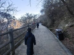-少华山国家森林公园