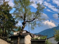 -石台牯牛降景区