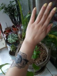 -Black Tattoo Studio