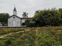 -广东花都香草世界旅游度假区