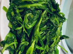 清炒豌豆尖-渝信川菜 · 川味家常菜(财富购物中心店)