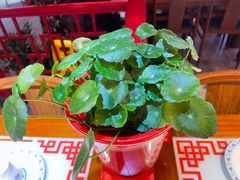 -富贵春饼·烤鸭(谷德店)