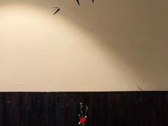 -灶咖KITCHEN