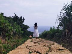 -东极岛景区