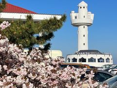 -ChanDu躔度咖啡(灯塔店)