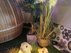 -东方之珠洗浴休闲广场(于家堡店)